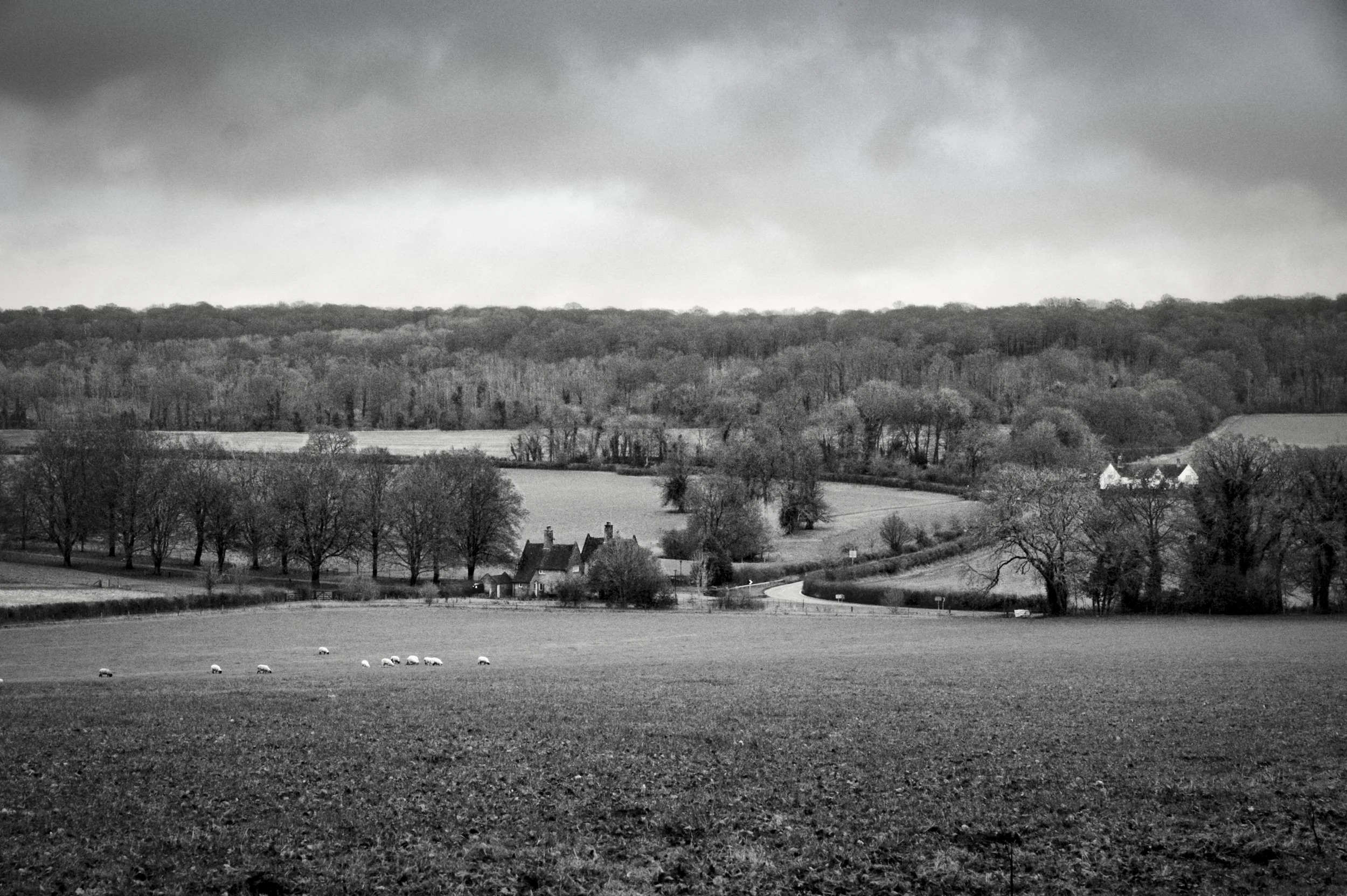 View coming out of Pulpit Wood looking across the Chiltern Hills farmland and countryside, Buckinghamshire — black and white landscape photography