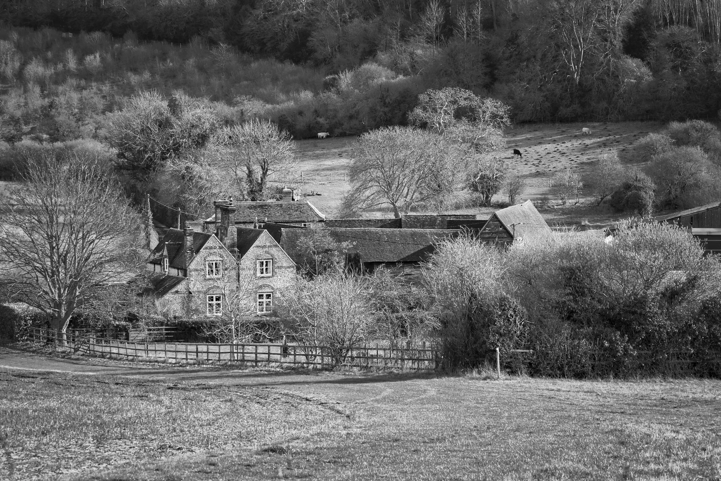 Farm House, Chiltern Hills, Buckinghamshire
A Chiltern Hills farmhouse nestled into the valley below winter woodland, Buckinghamshire. Stone buildings and timber barns sit surrounded by bare trees and wooden fencing, with fields rising behind where l
