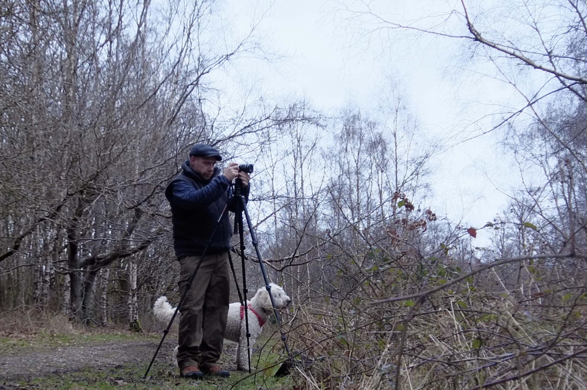 taking an image with the camera on a tripod at Penn Woods in the Chiltern Hills