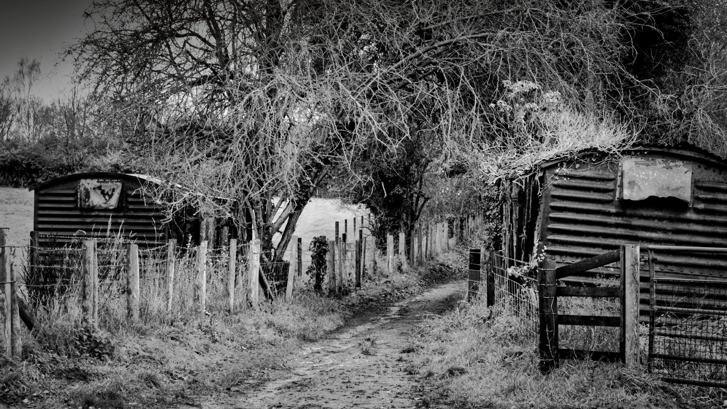 Black and white photograph of a narrow farm track between old corrugated sheds, lined with fencing and bare winter trees.