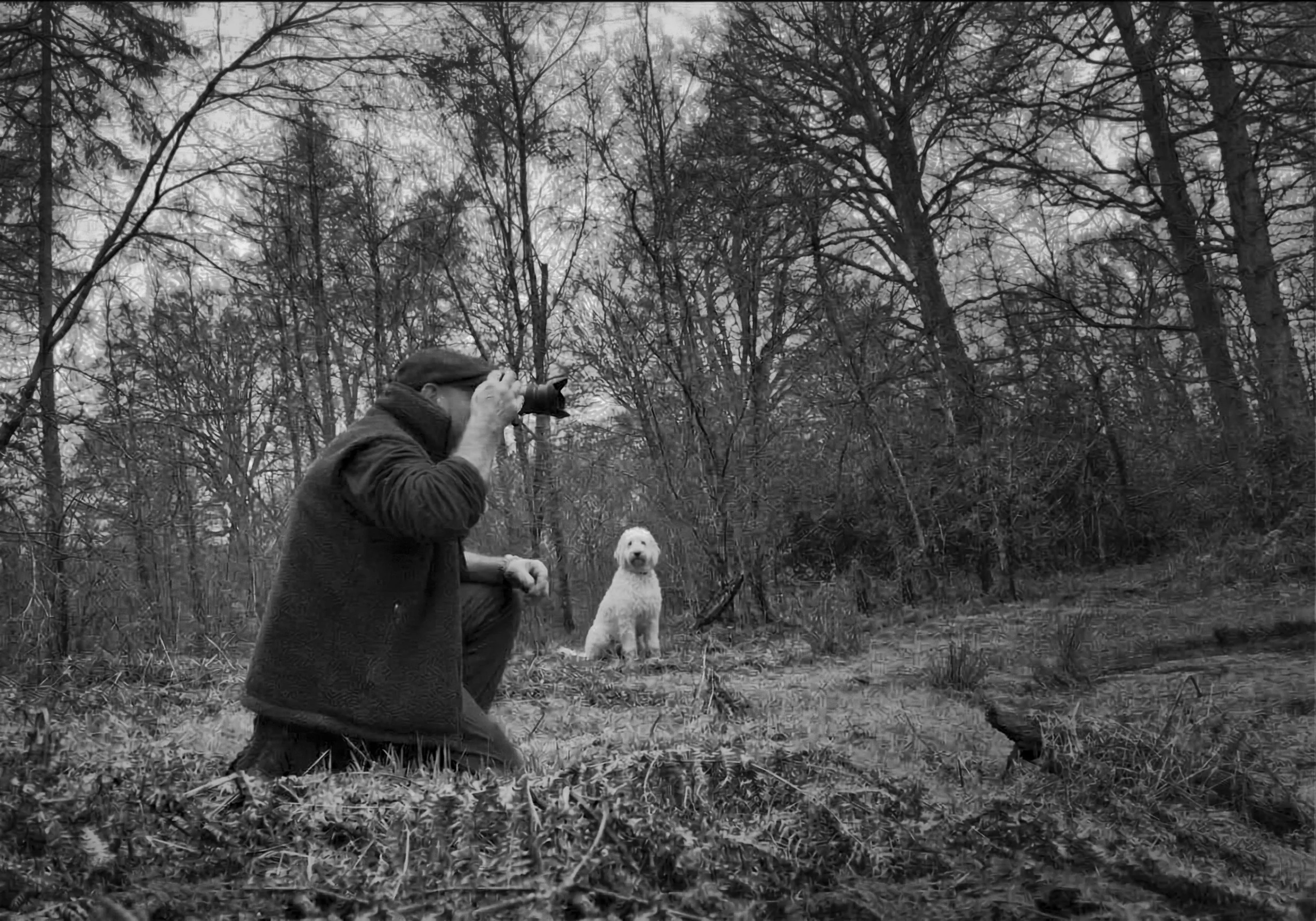 Mark Weekes, photographer and founder of Walking With Pics, photographing in Chiltern Hills woodland with his goldendoodle Elvis sitting patiently alongside him.