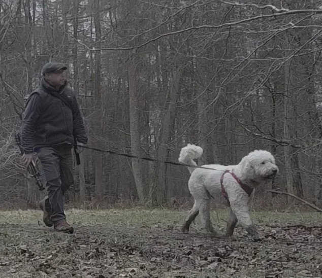 A man walking a large white dog on a leash through a wooded area in fall or winter.