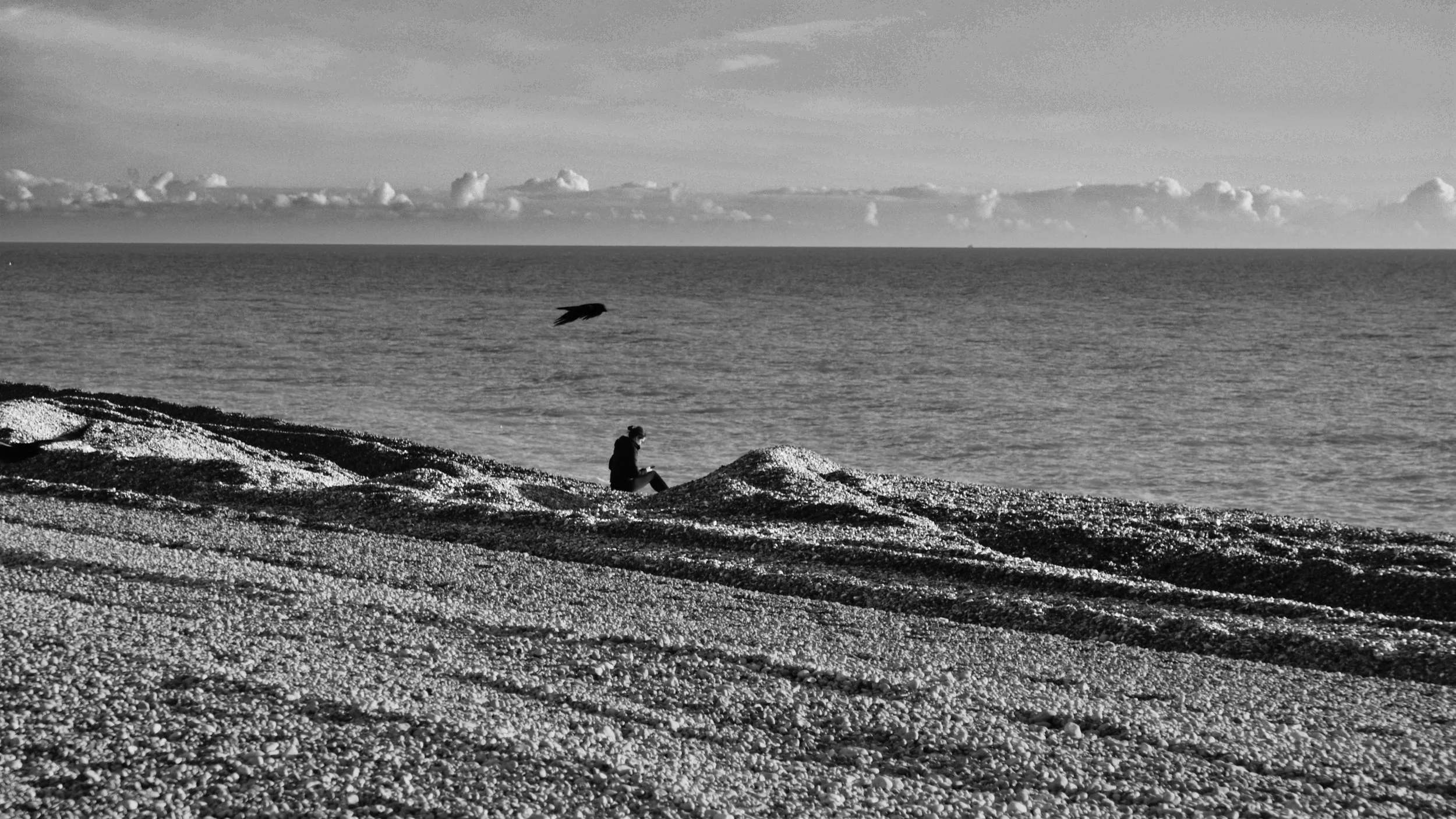 Seaford, lone female on the beach.jpg