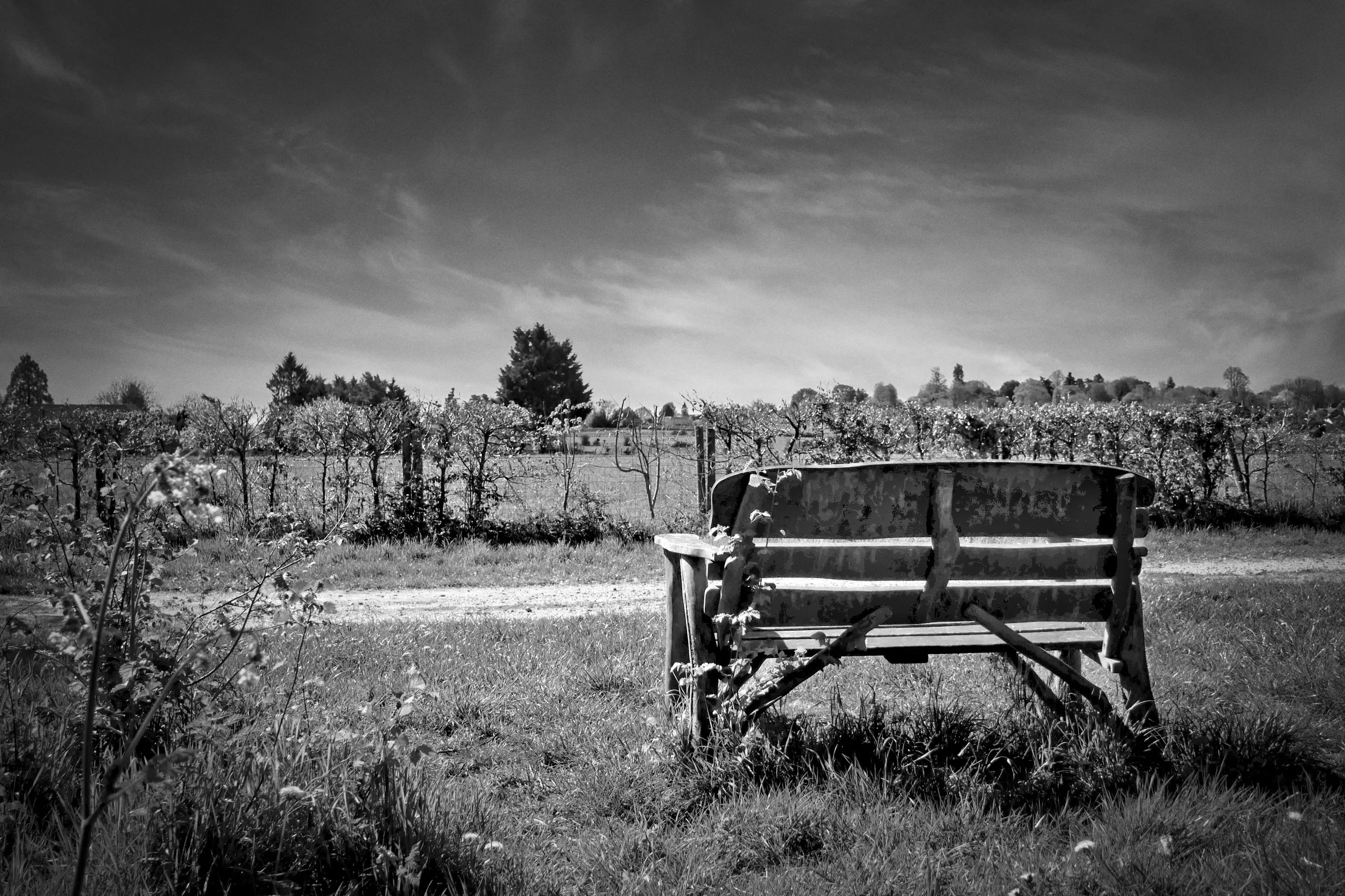 Seat situated by a track at Winter Hill, Chiltern Hills.jpeg