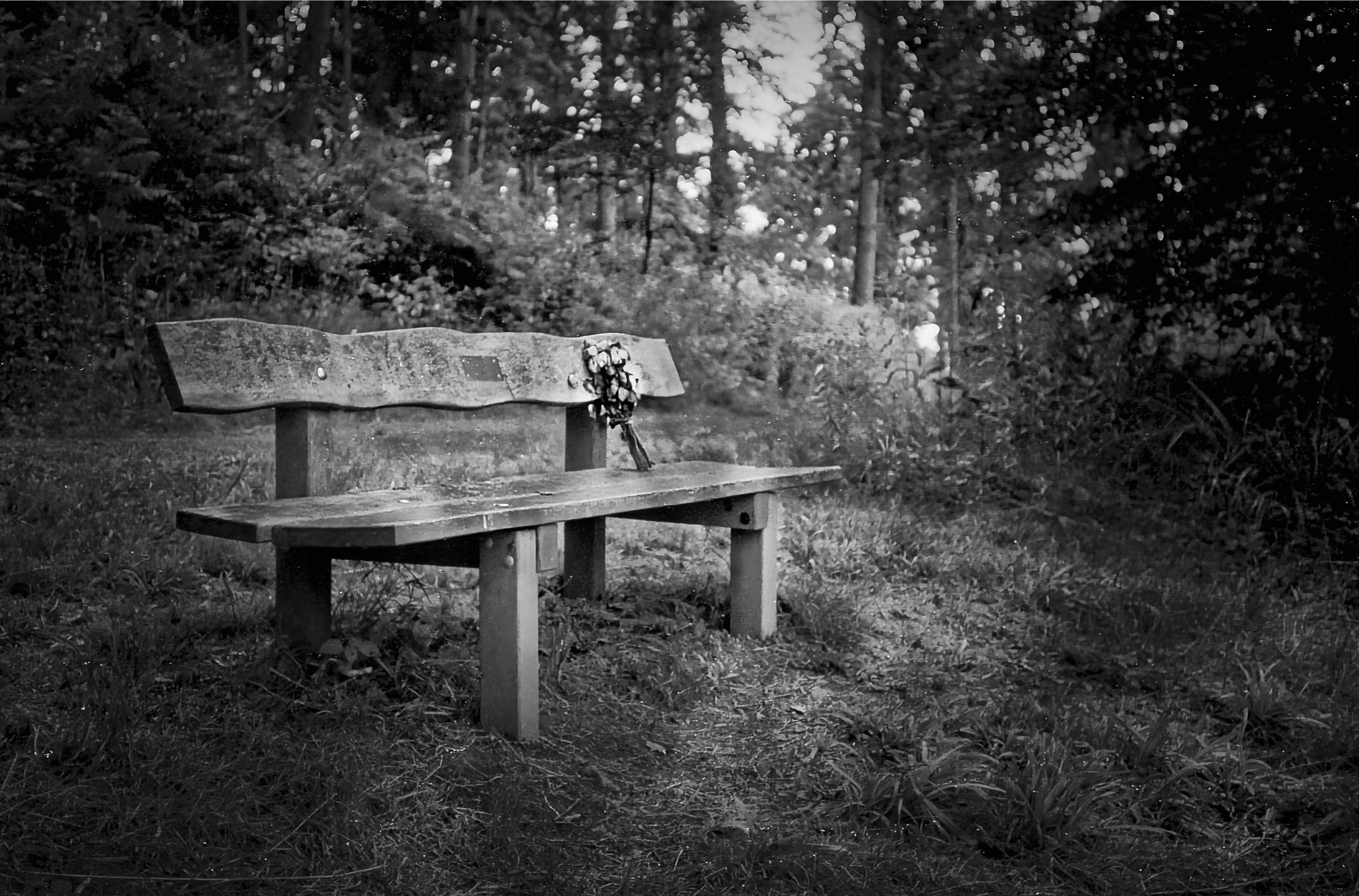 Seat in Credenhill Woods, Herefordshire.jpeg