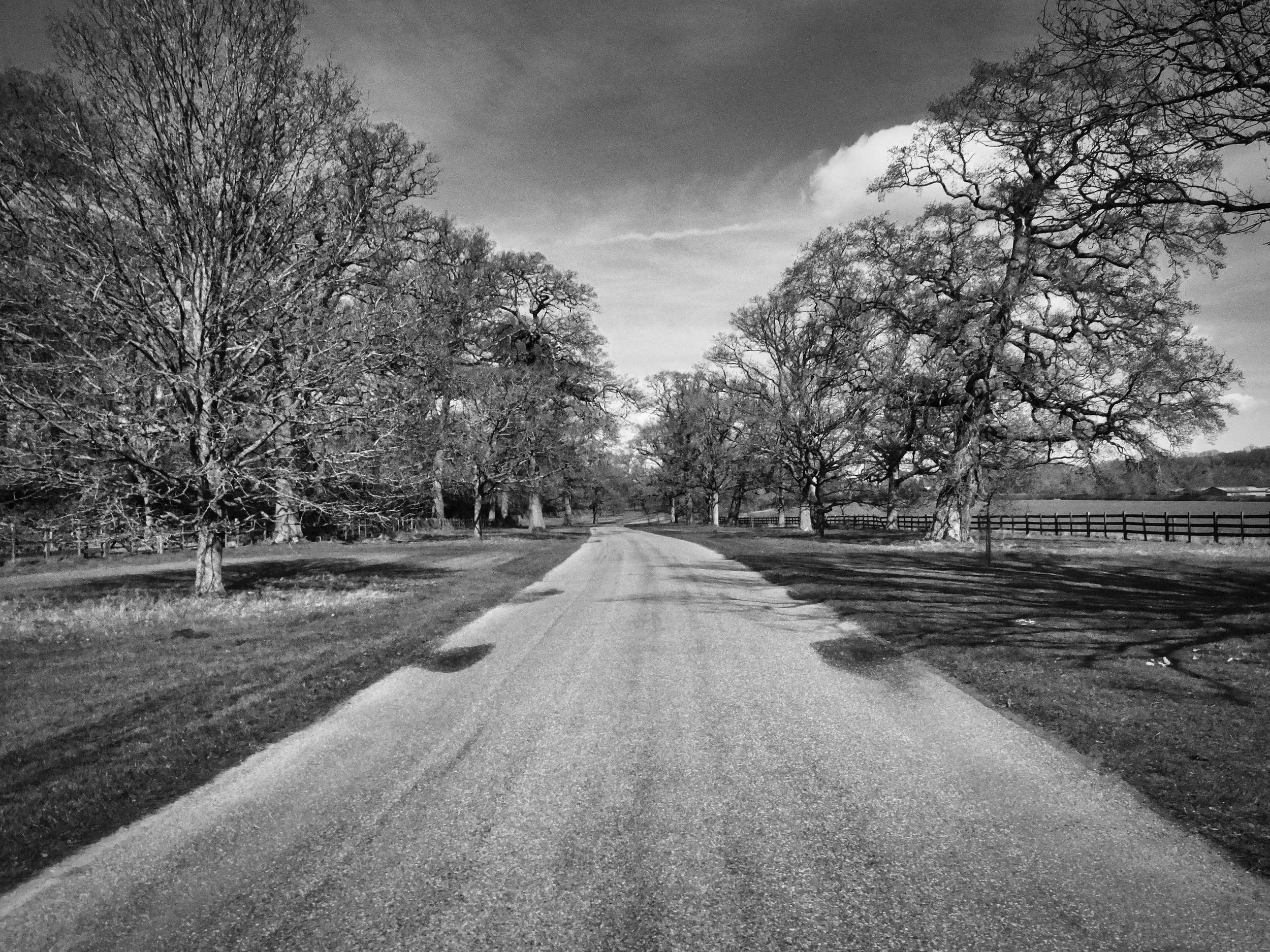 A tree-lined avenue stretching into the distance at Windsor Great Park, Berkshire, photographed in black and white. Bare oak trees frame the empty road on both sides, with dramatic cloud formations above and wooden fencing visible to the right.