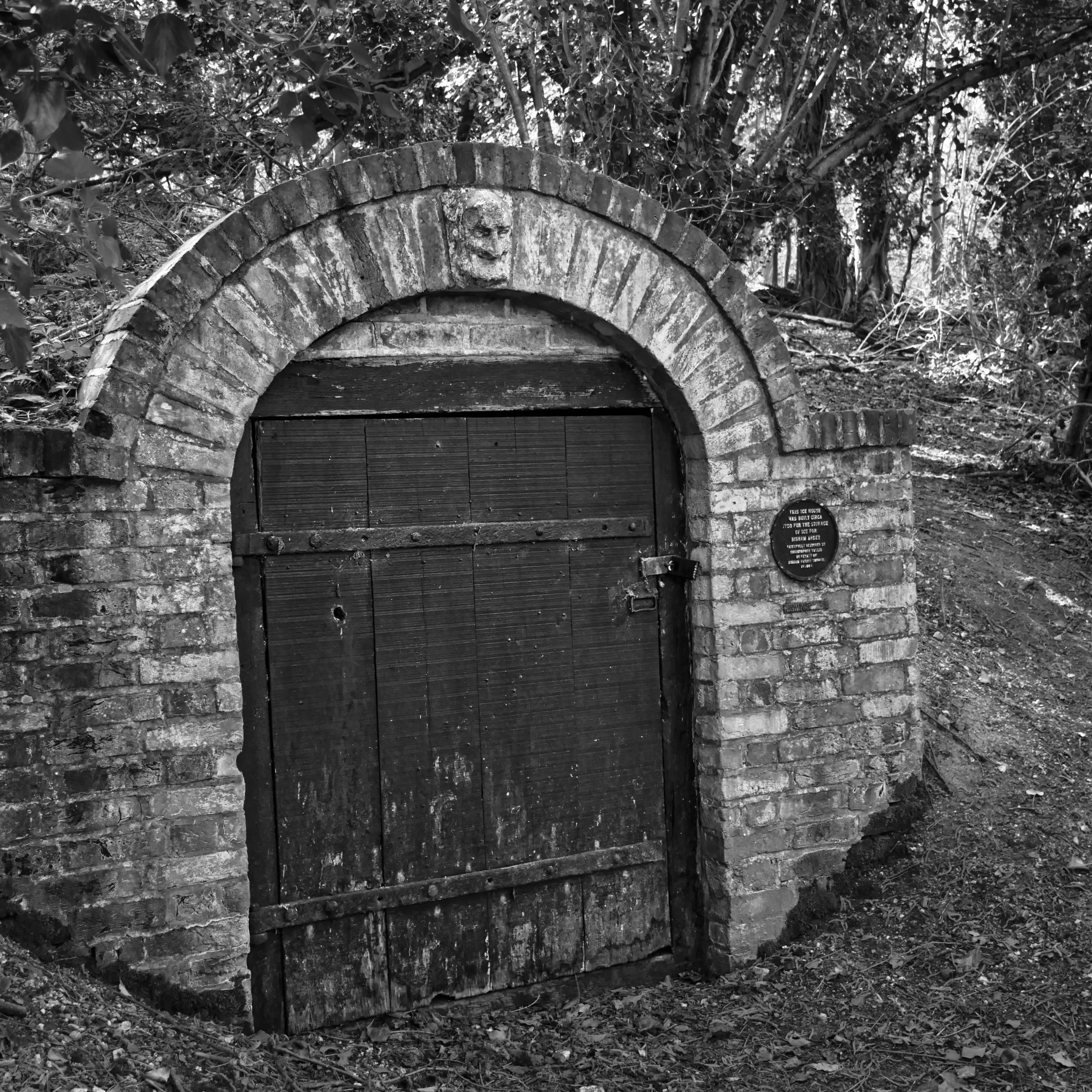 Grade II listed 18th century ice house with arched brick entrance and original wooden door in Quarry Wood, Bisham, Chiltern Hills, Buckinghamshire