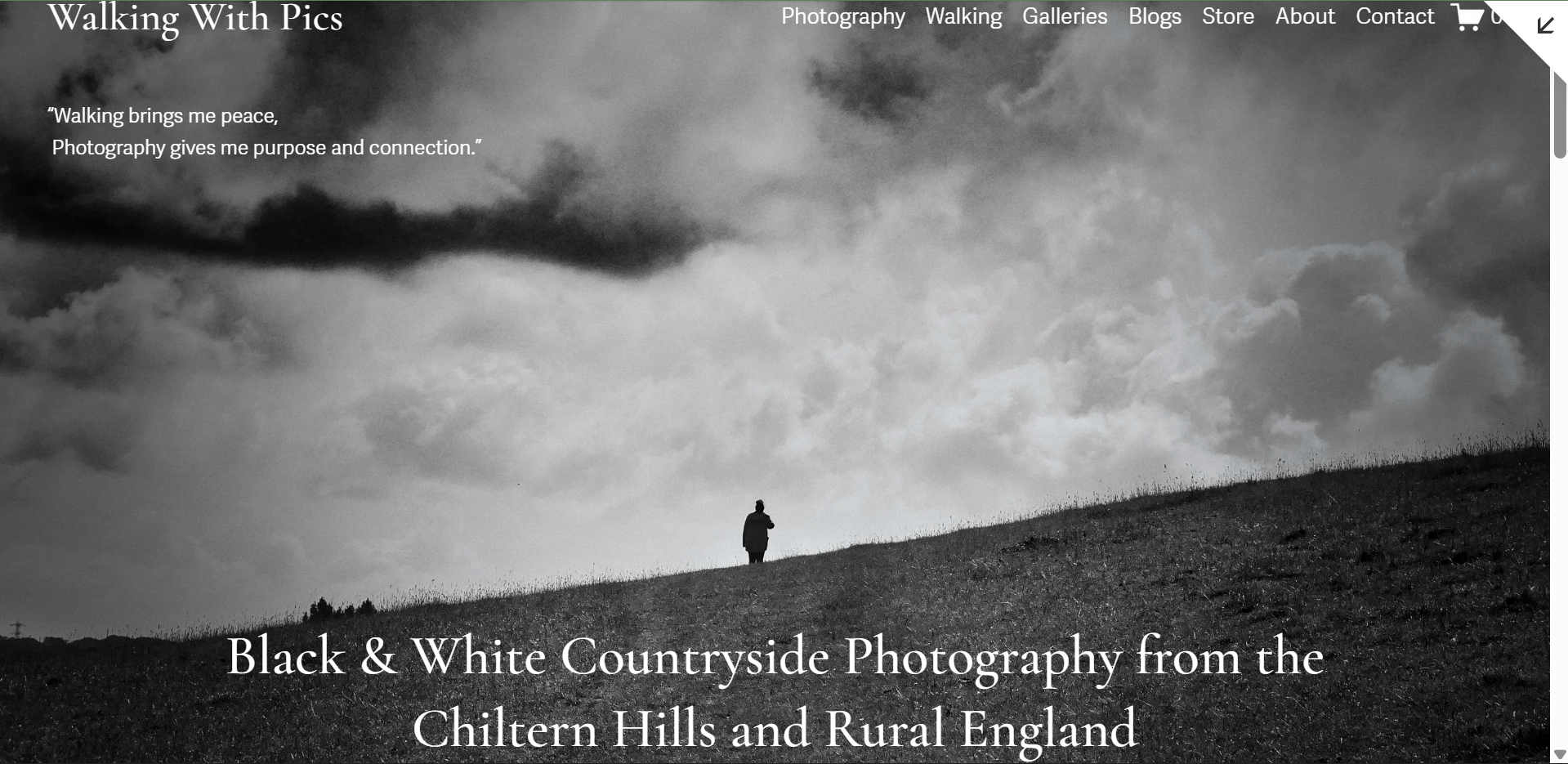 An image showing the top of mark weekes, walking with pics homepage