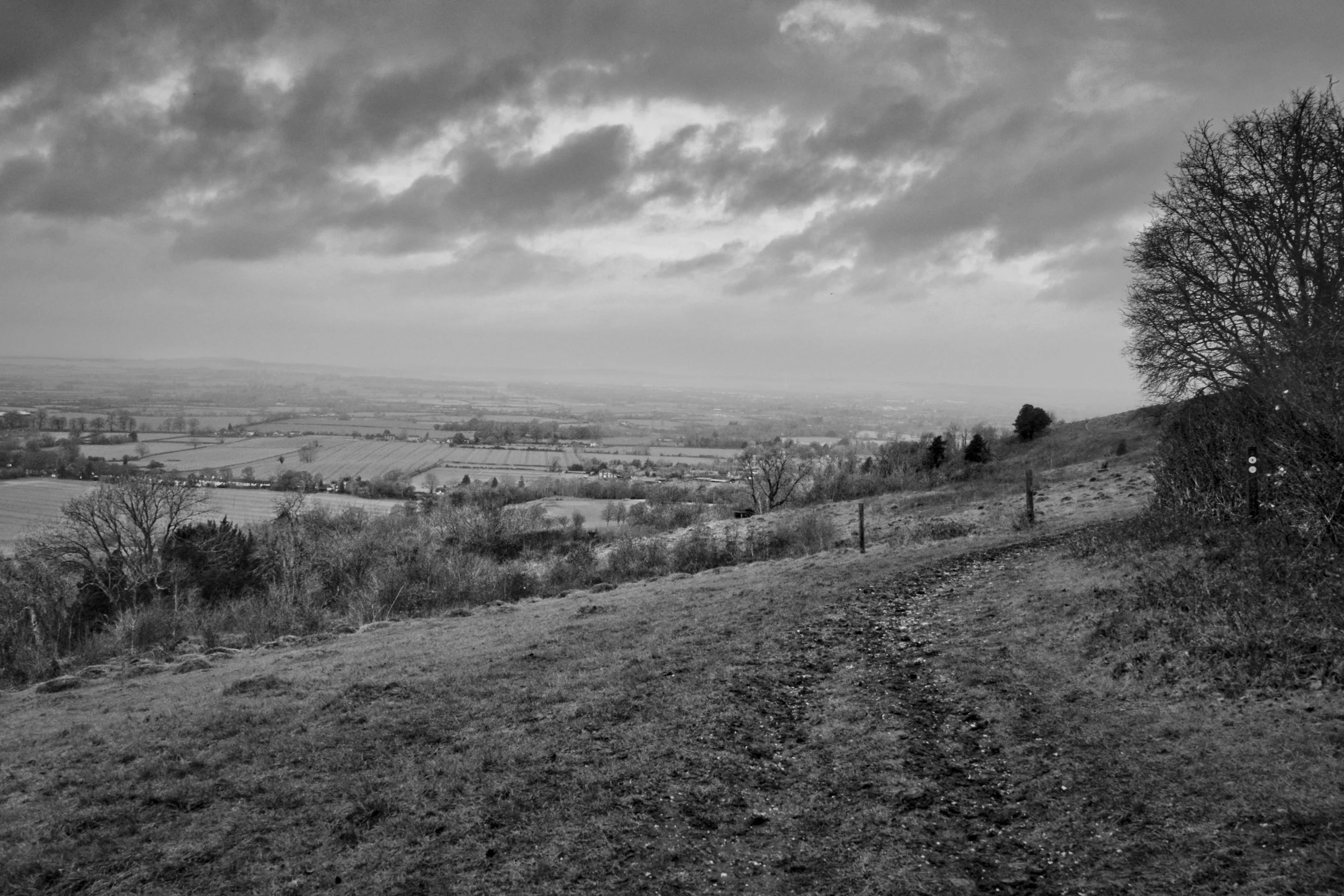 View from Coombe Hill, Chiltern Hills, Buckinghamshire — black and white landscape photography looking out over the Vale of Aylesbury on an overcast winter's day