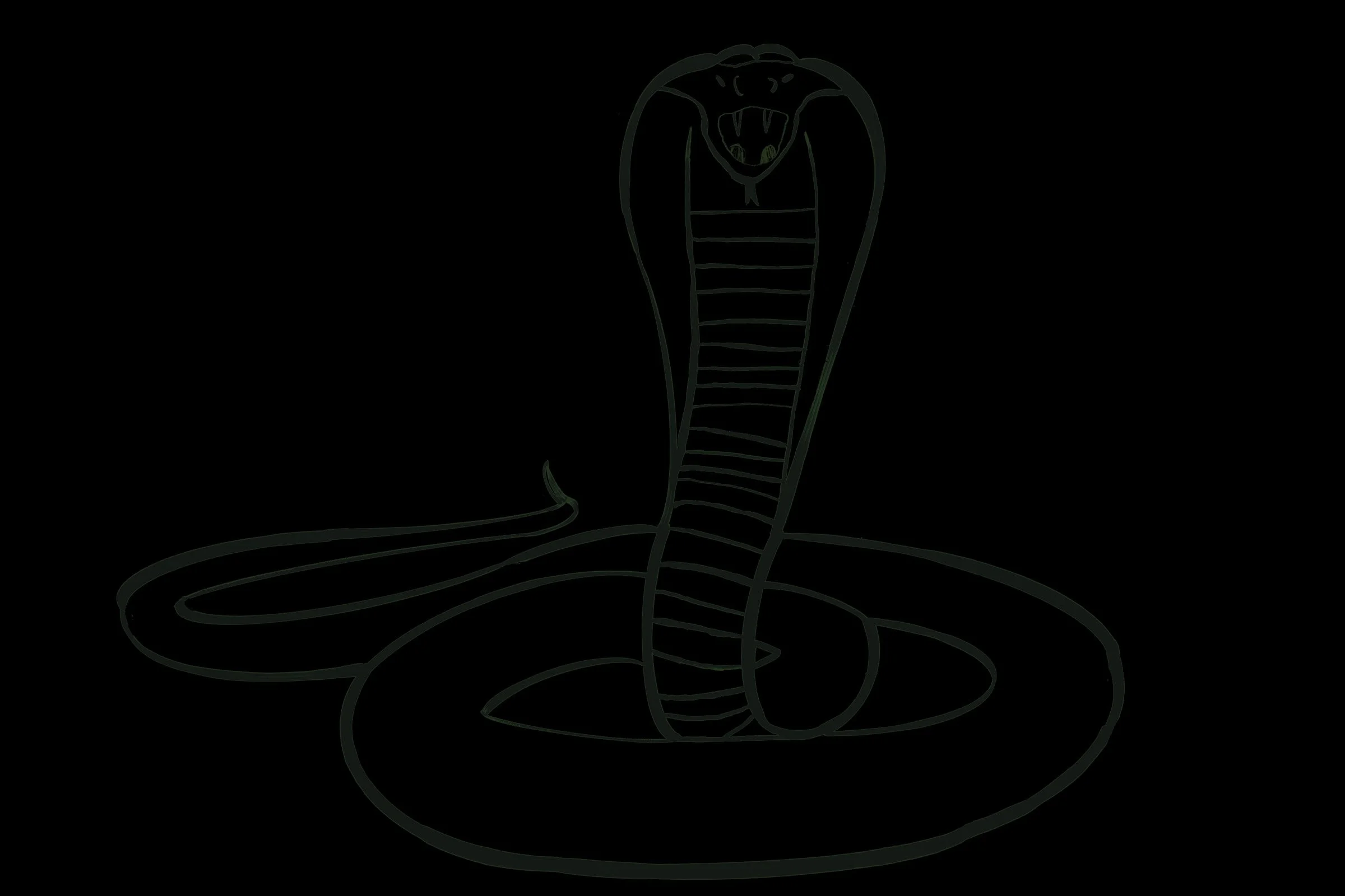 2024_slick_snake_040.jpg