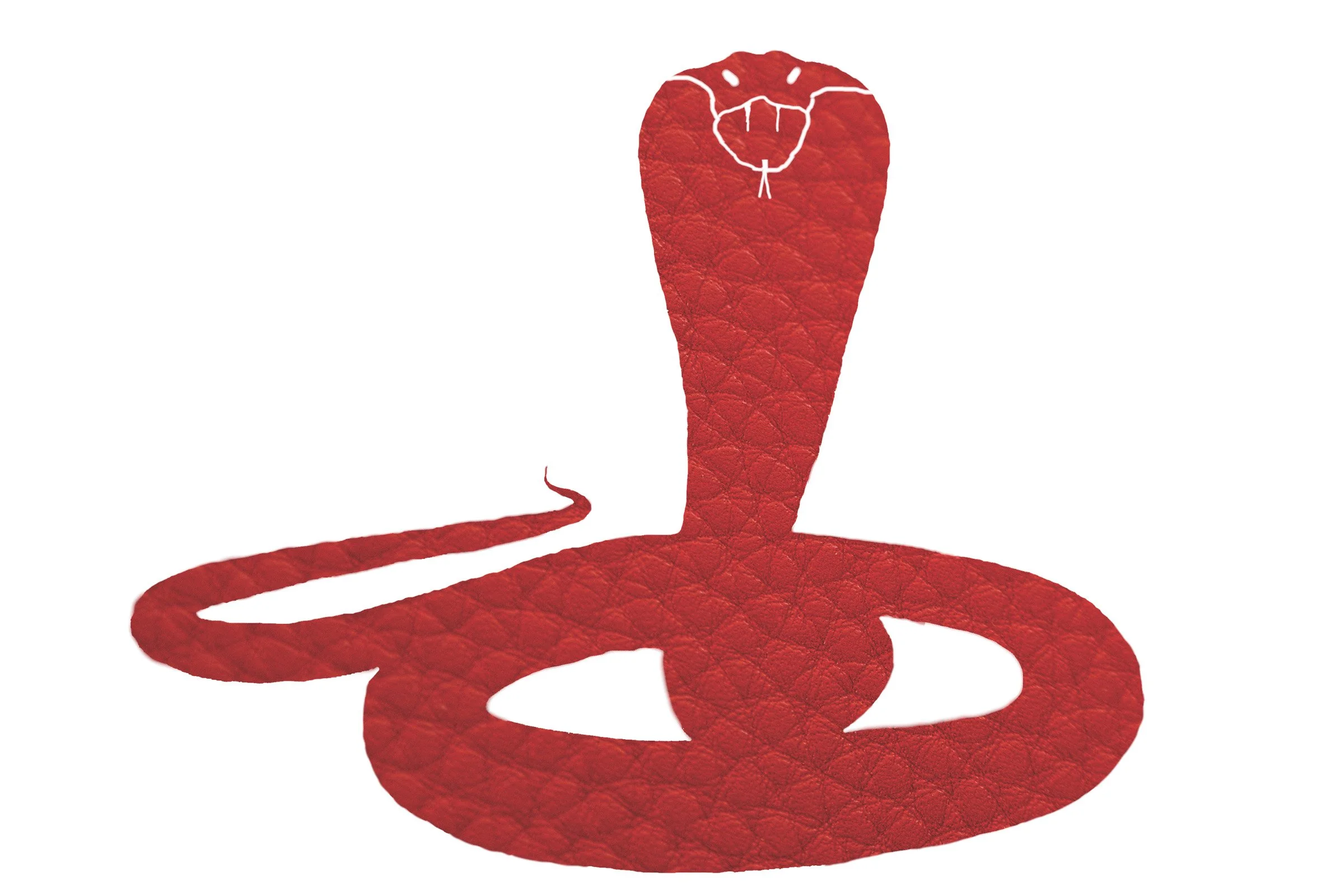 2024_slick_snake_032.jpg