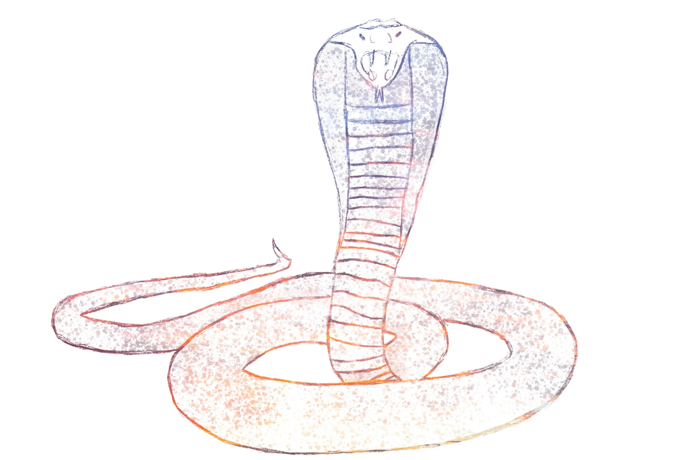 2024_slick_snake_021.jpg
