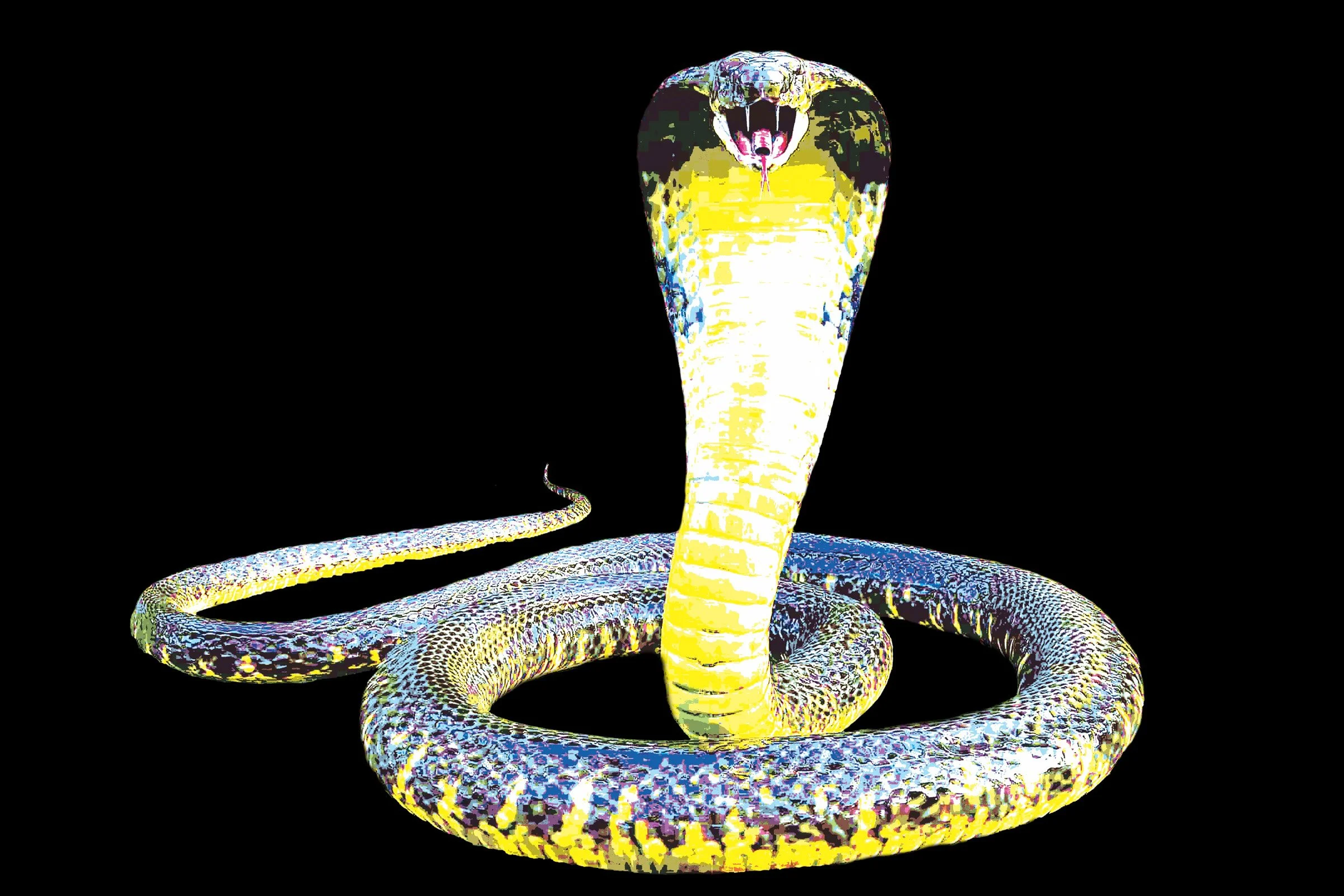 2024_slick_snake_013.jpg