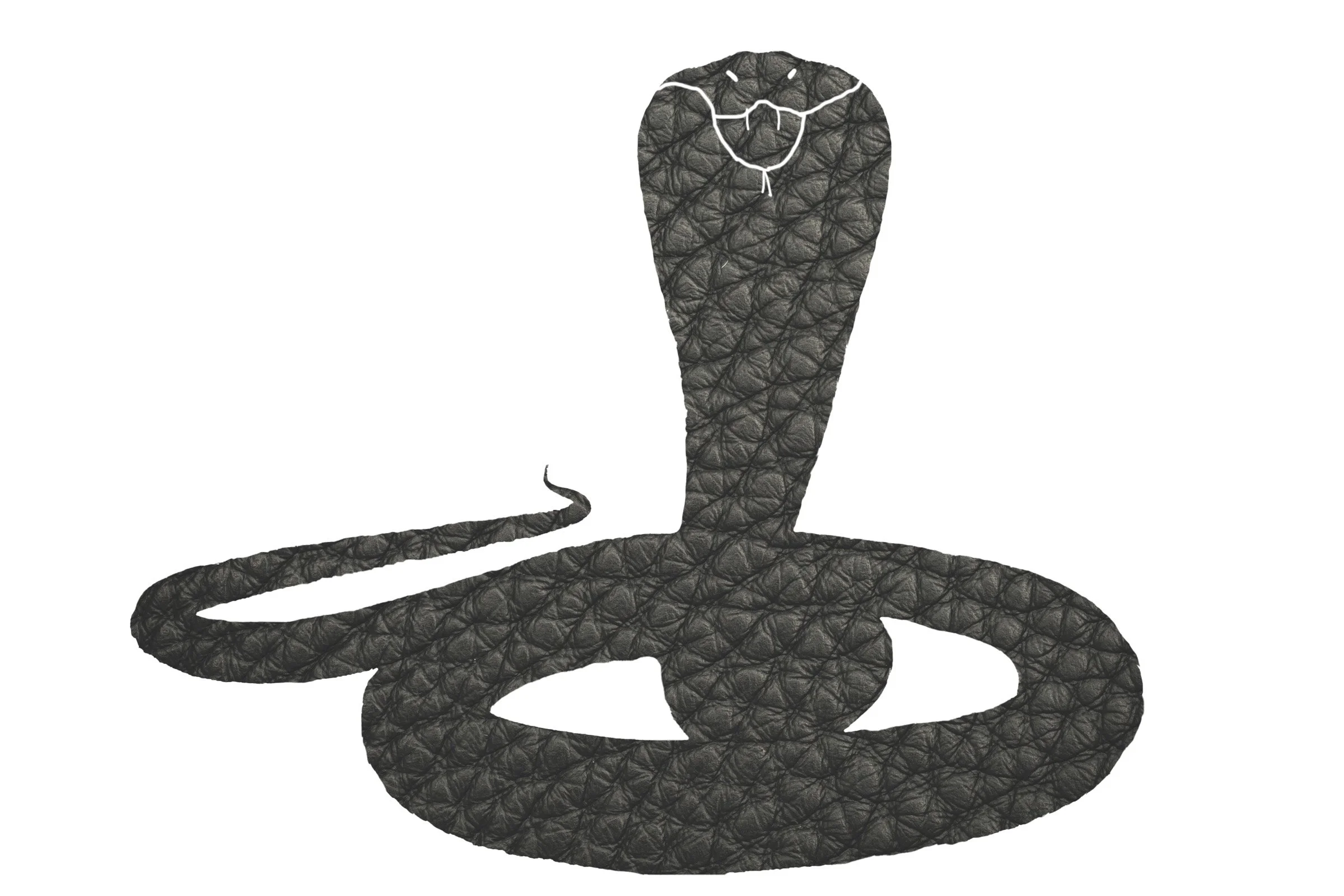2024_slick_snake_031.jpg