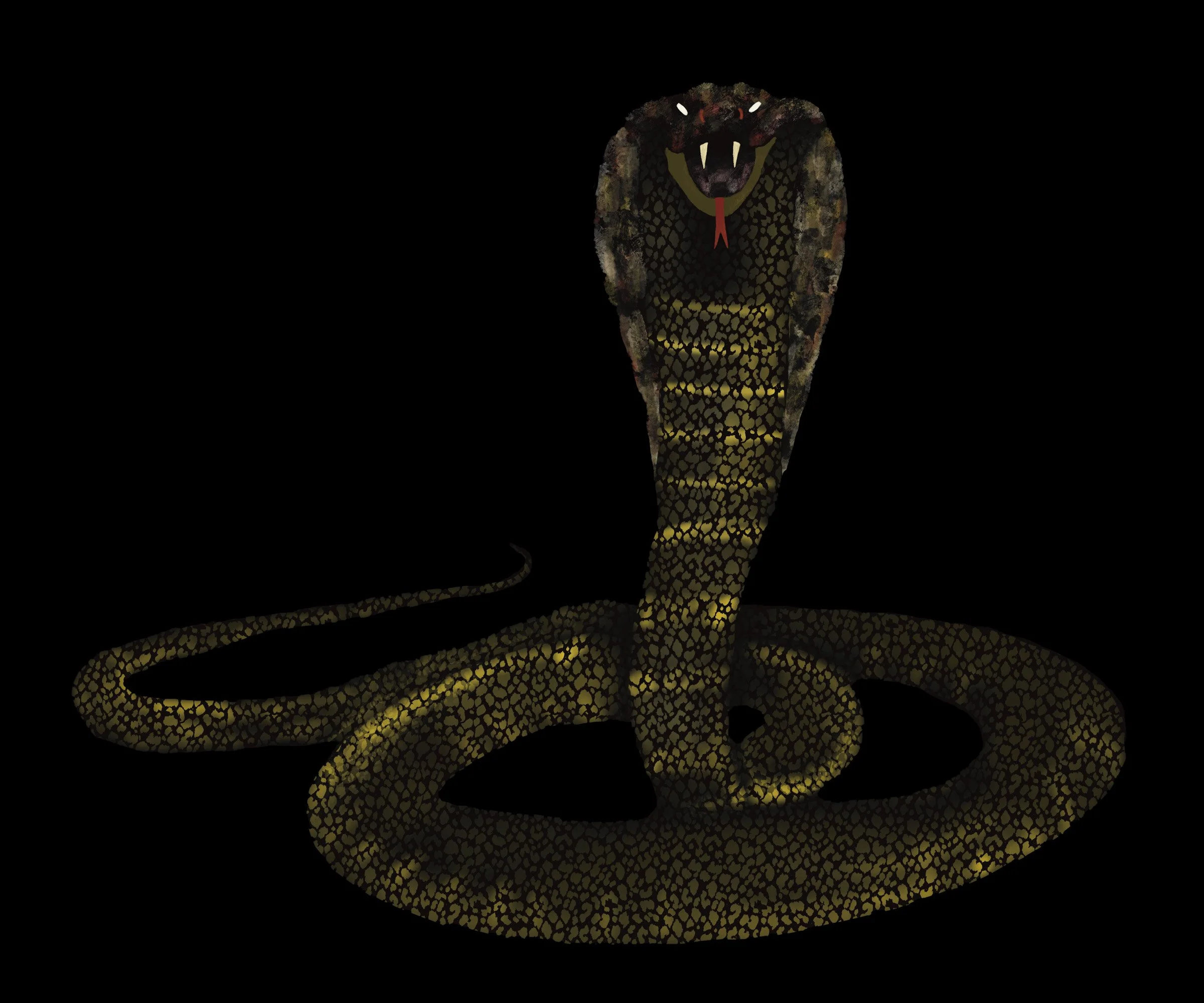 2024_slick_snake_005.jpg