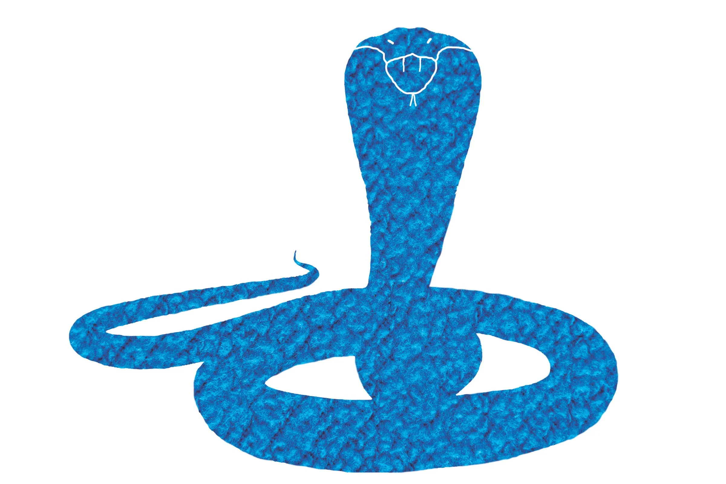 2024_slick_snake_036.jpg
