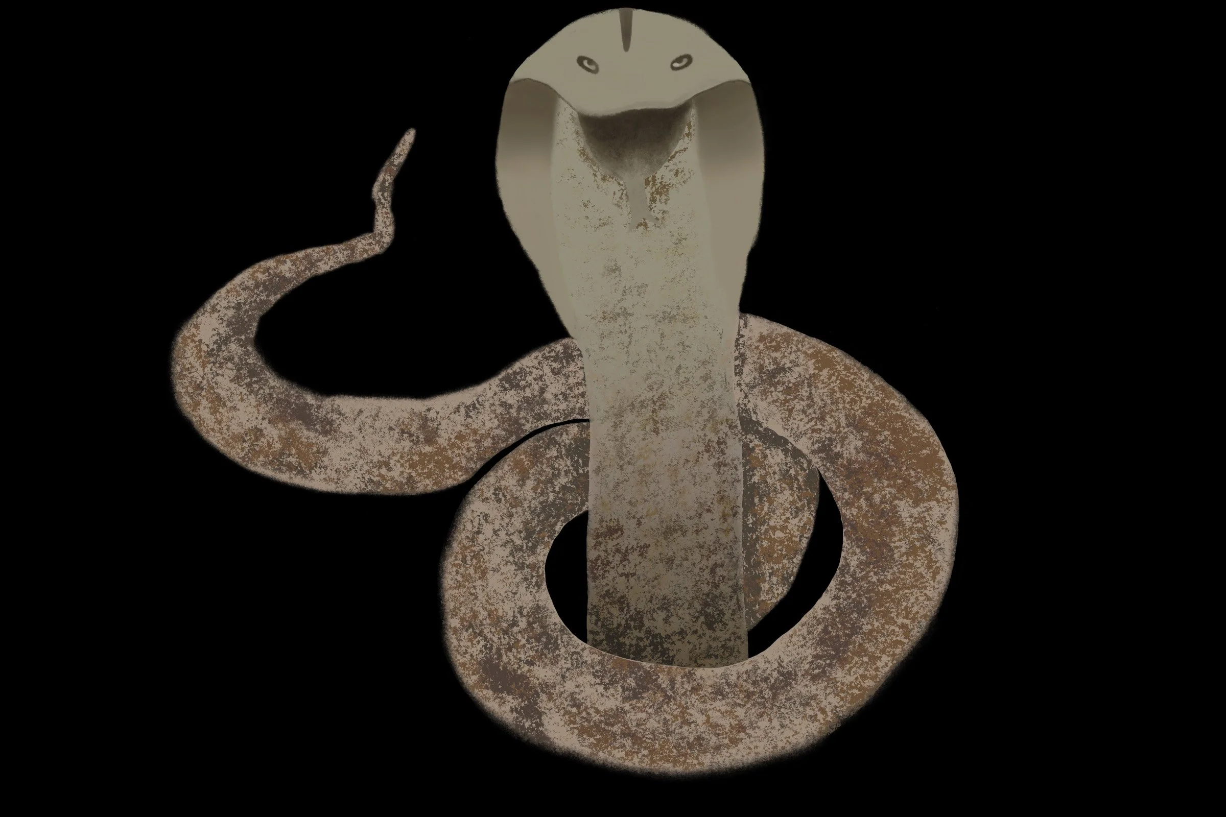 2024_slick_snake_019.jpg