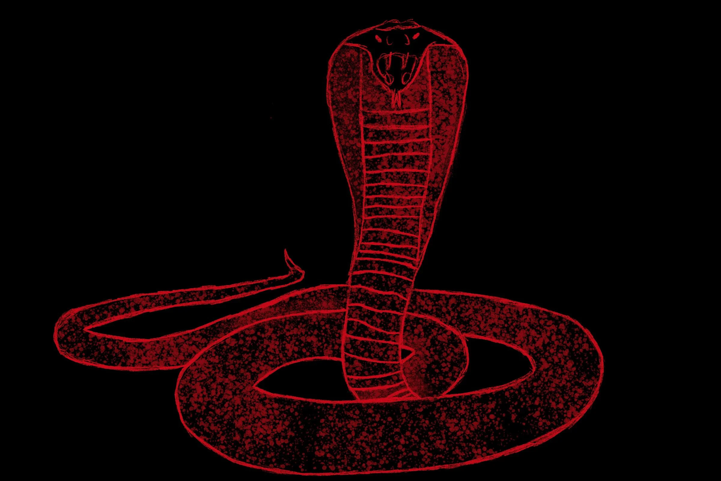 2024_slick_snake_020.jpg