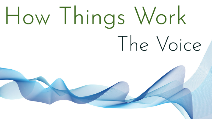 How Things Work: The Voice