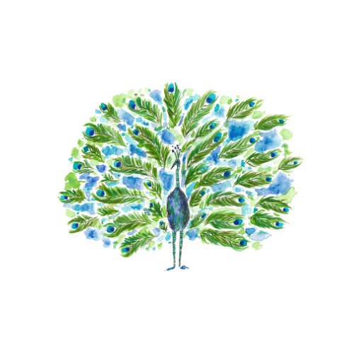 Watercolor painting of a peacock with its tail feathers fanned out, showing green and blue colors.