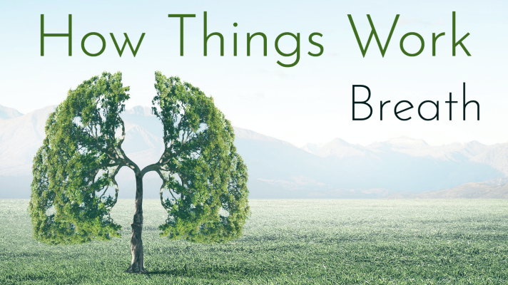 How Things Work: Breath