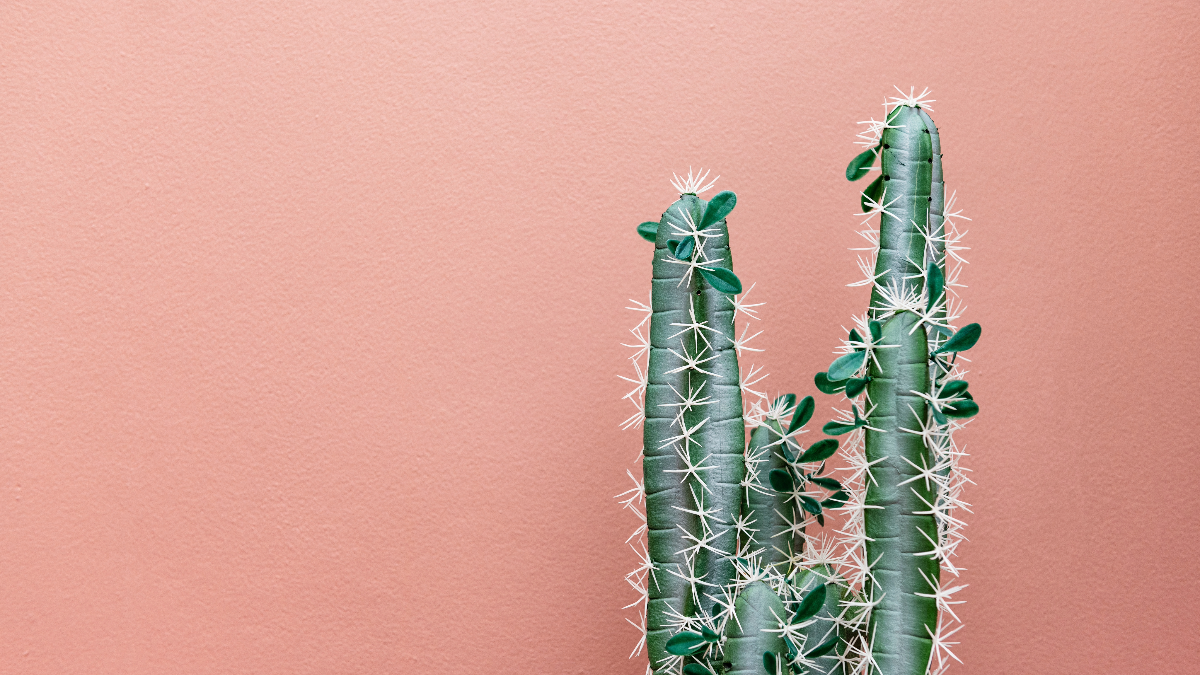 Energy and presence despite work burnout