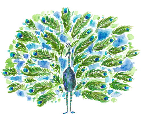 Watercolor painting of a peacock with its tail spread, displaying vibrant green and blue feathers.