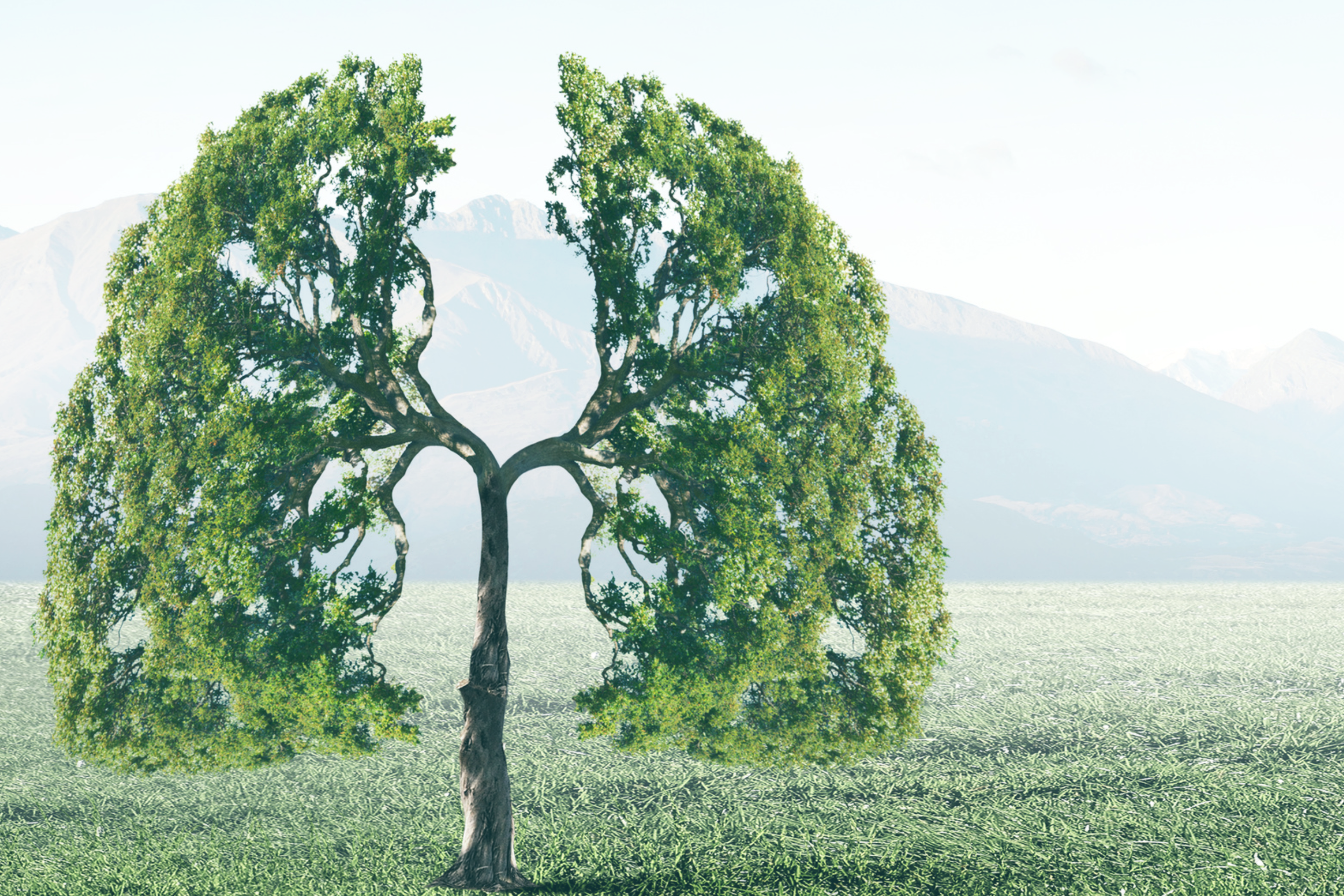 Diaphragmatic back breathing exercises strengthen your voice and speaking presence.