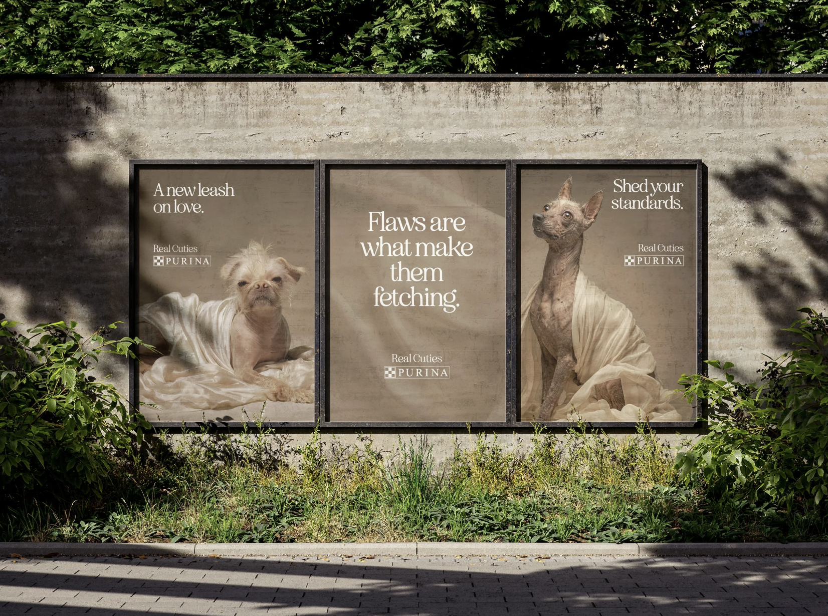 Purina - Real Cuties