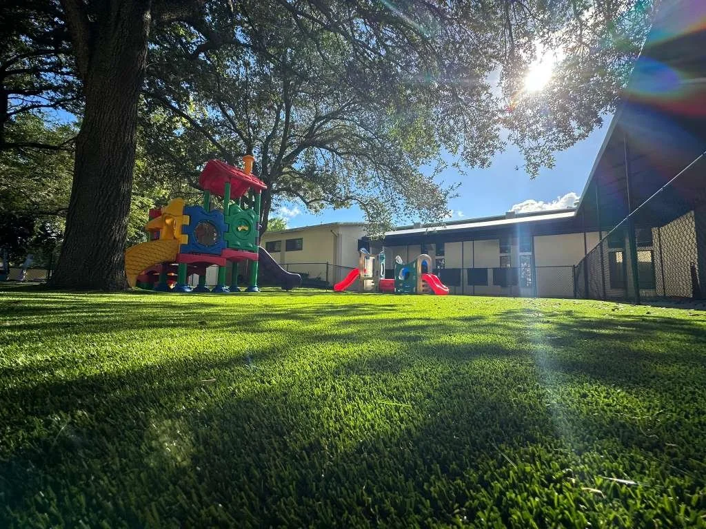 WhatsApp Image 2026-02-10 at 10.18.50 PM.jpeg