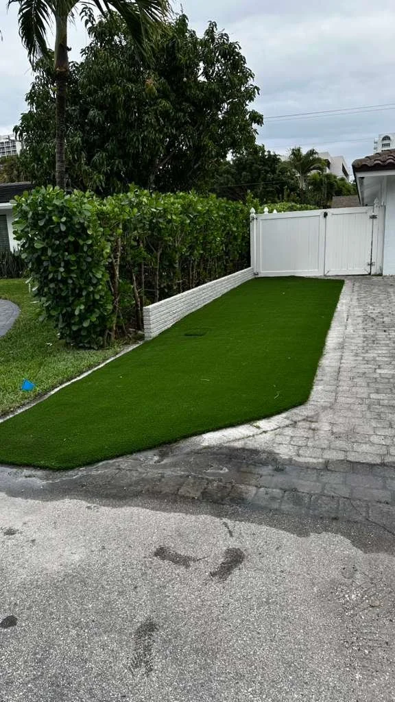 WhatsApp Image 2026-03-31 at 10.51.05 AM.jpeg