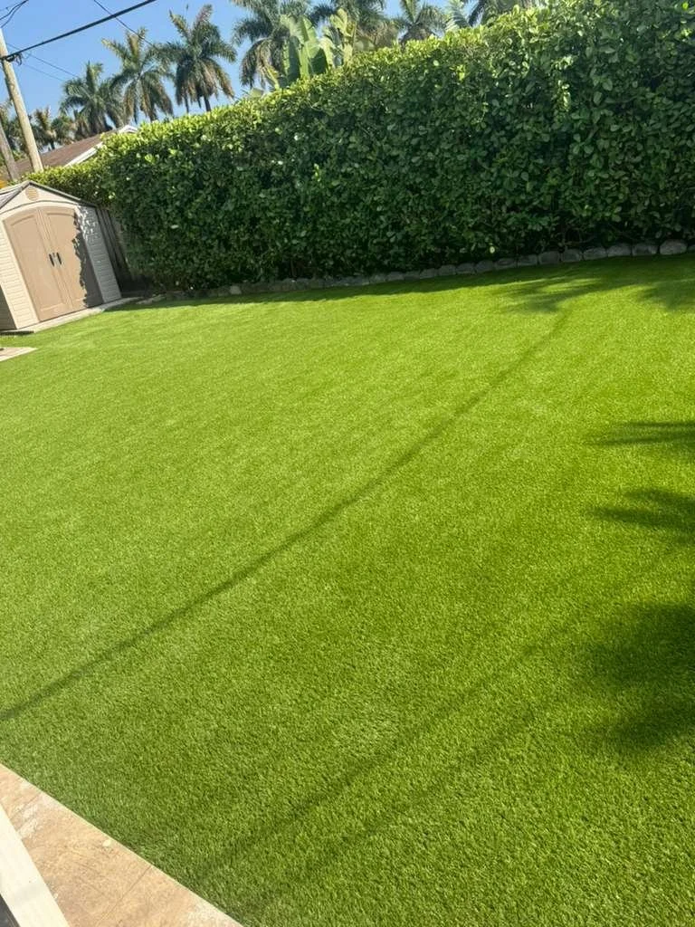 WhatsApp Image 2026-02-10 at 10.18.13 PM.jpeg