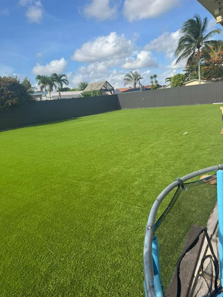 WhatsApp Image 2026-02-10 at 10.18.16 PM.jpeg