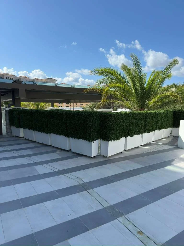 WhatsApp Image 2026-03-31 at 10.32.57 AM (5).jpeg