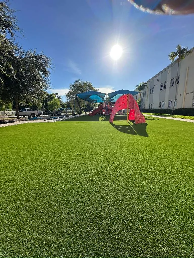 WhatsApp Image 2026-02-10 at 10.18.43 PM.jpeg