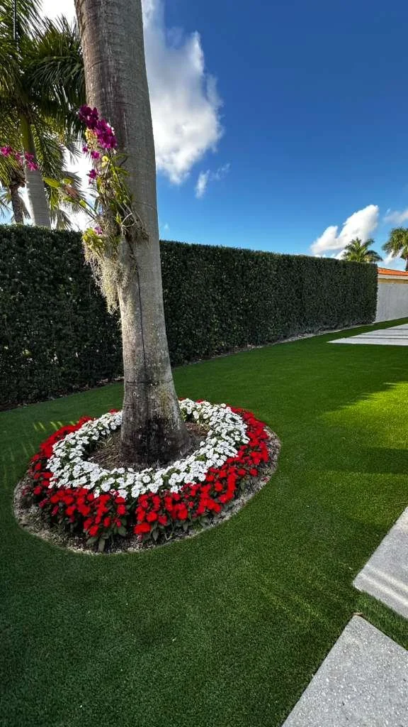 WhatsApp Image 2026-03-31 at 10.51.04 AM (1).jpeg