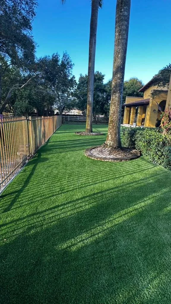 WhatsApp Image 2026-02-10 at 11.11.11 PM.jpeg