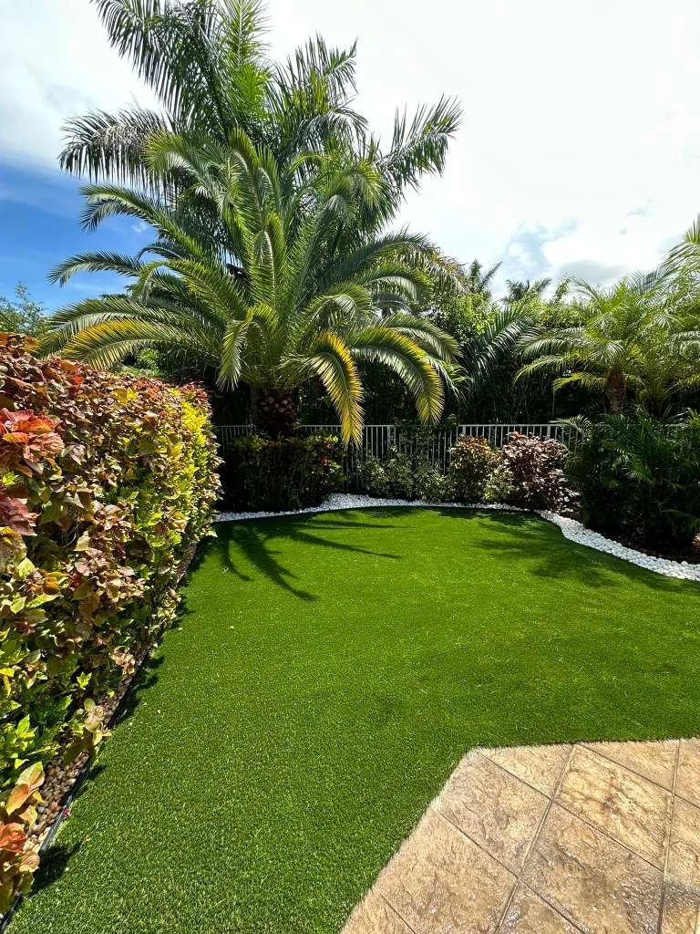 WhatsApp Image 2026-02-10 at 10.19.49 PM.jpeg