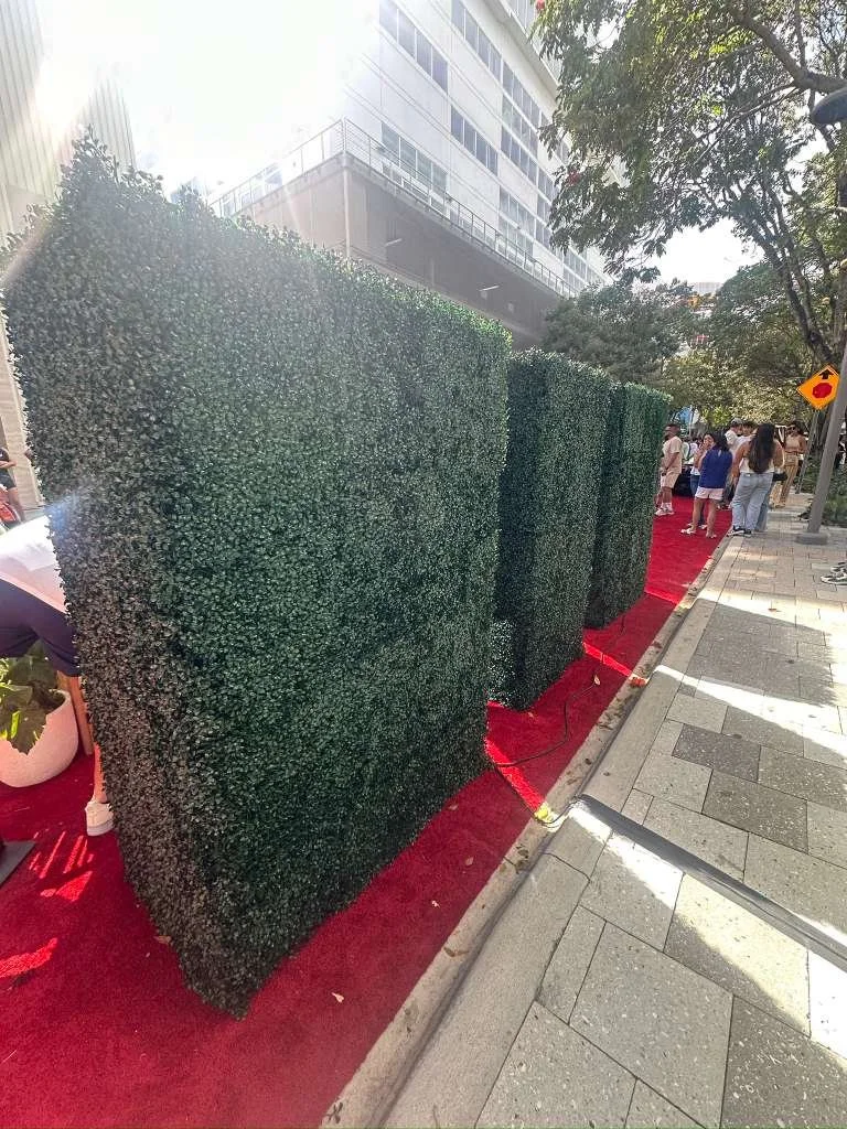 WhatsApp Image 2026-03-18 at 1.42.52 PM (3).jpeg