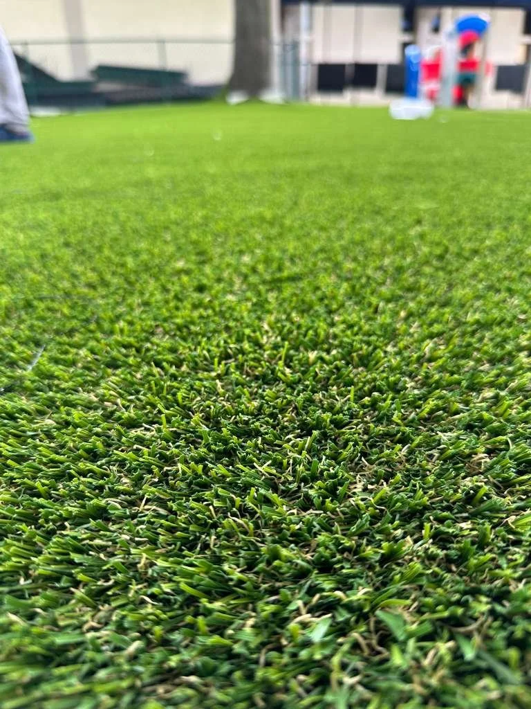 WhatsApp Image 2026-02-10 at 10.18.59 PM.jpeg