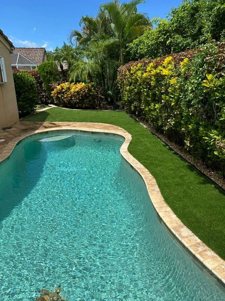 WhatsApp Image 2026-02-10 at 10.19.45 PM.jpeg