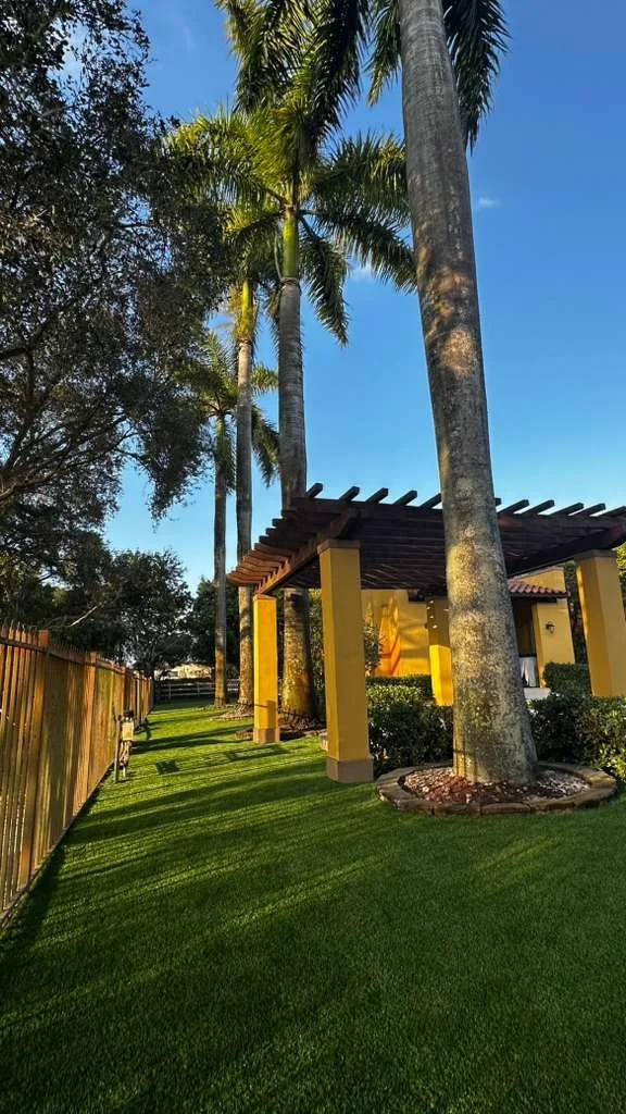 WhatsApp Image 2026-02-10 at 10.17.30 PM.jpeg