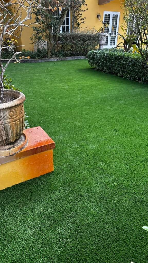 WhatsApp Image 2026-02-10 at 11.11.12 PM.jpeg