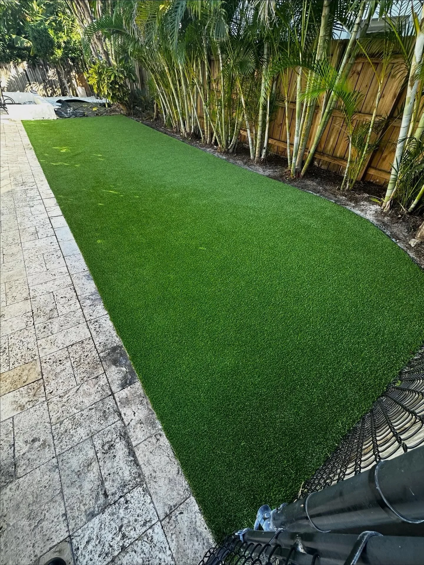 WhatsApp Image 2026-01-14 at 9.43.17 AM.jpeg