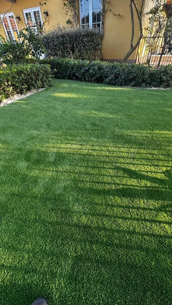 WhatsApp Image 2026-03-31 at 10.51.04 AM.jpeg