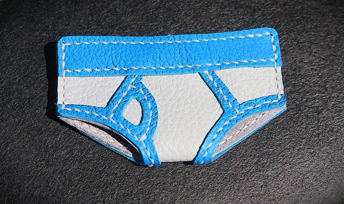 Underwear Cardholder 01.JPG