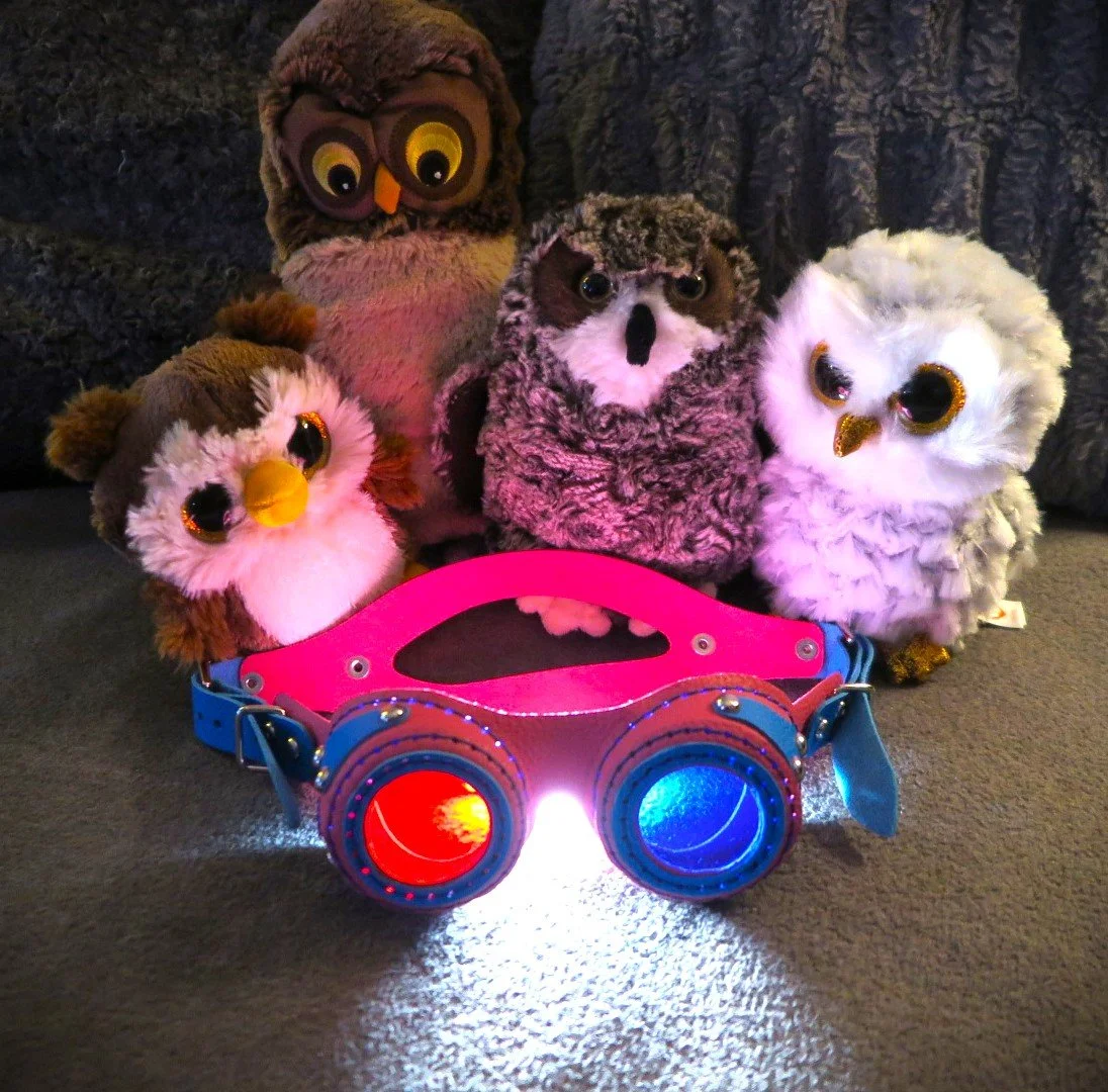 3D Goggles.JPG
