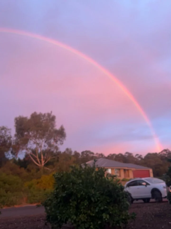 The year of the Fire Horse has charged out of the gates for me, so I&rsquo;m running behind on my nodal calendar posts. Here&rsquo;s a quick catch-up on the last couple of phases, plus the next one ahead (which lands right when I&rsquo;m moving house