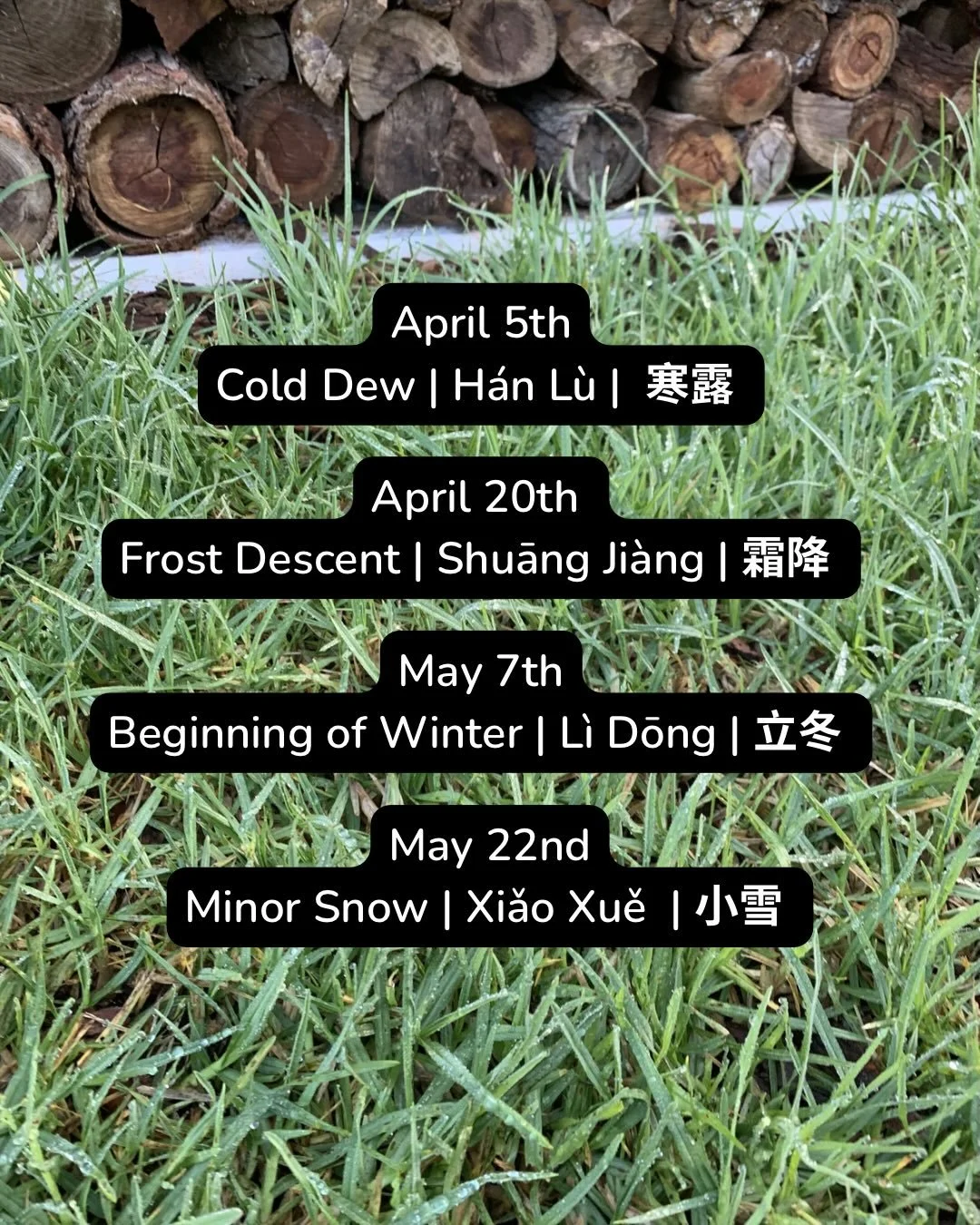 I&rsquo;ve fallen behind with the Chinese Solar calendar updates. Sorry folks! Between moving and setting up a new clinic in Nannup, life has been life-ing. Here&rsquo;s a catch-up of the current phases, with a few in advance so you can see what the 