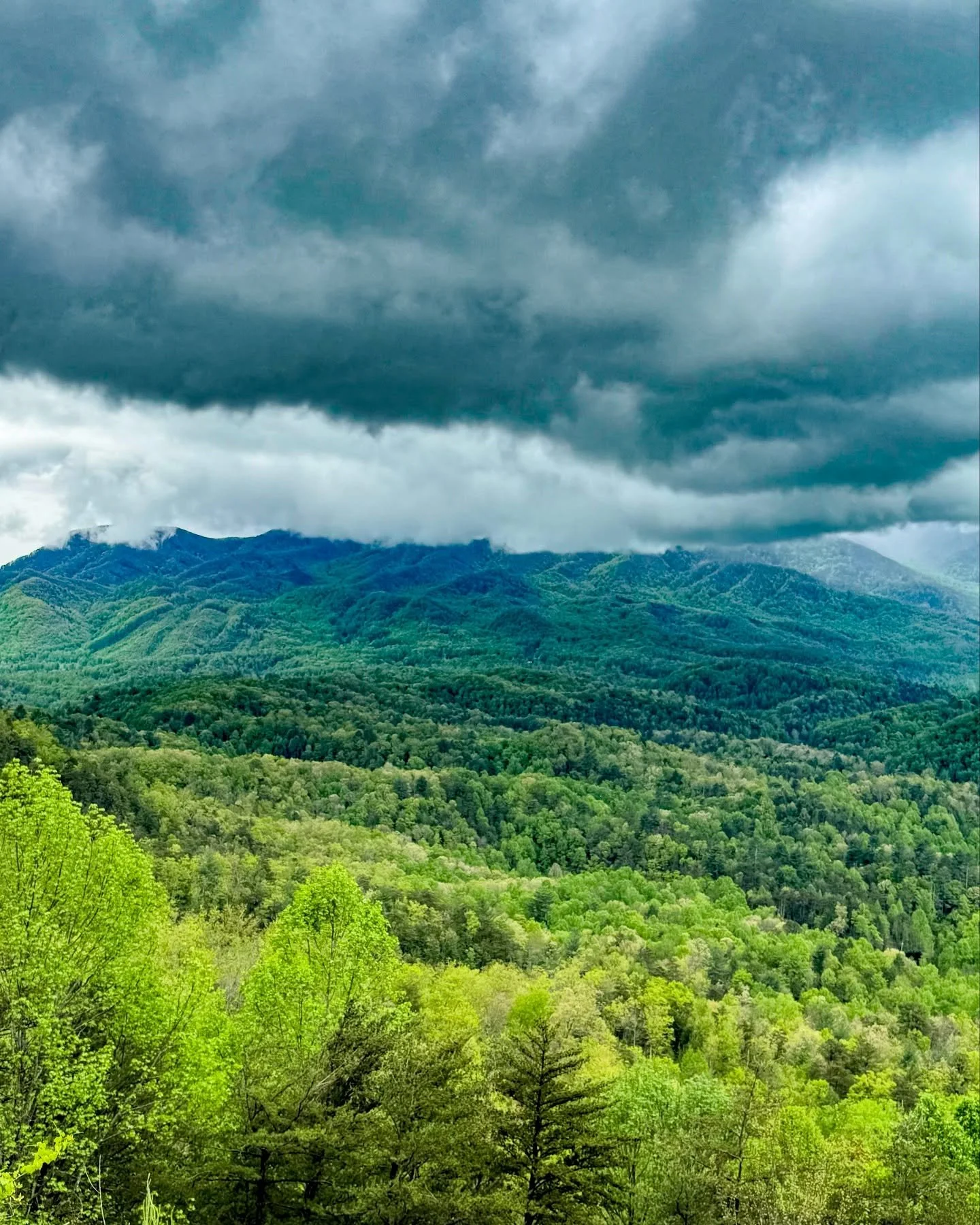 A much needed mountain getaway for me and @smlove1995 

Ready to get back to the saltwater though! 🤘🏻 
&bull;
&bull;
&bull;
&bull;
#gatlinburg #pigeonforge #mountains #vacation #relaxing #getaway #tennessee #blueridgeparkway #outdoors